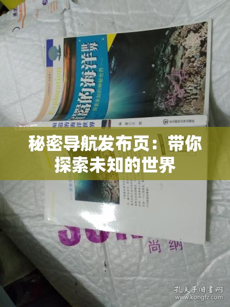秘密导航发布页：带你探索未知的世界