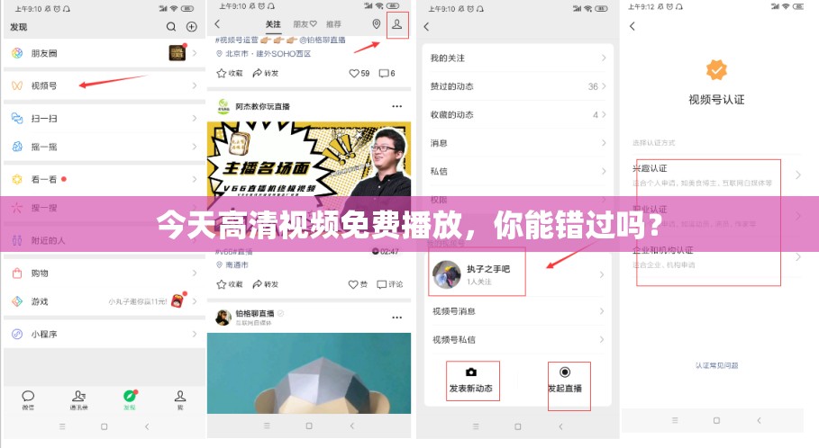 今天高清视频免费播放，你能错过吗？