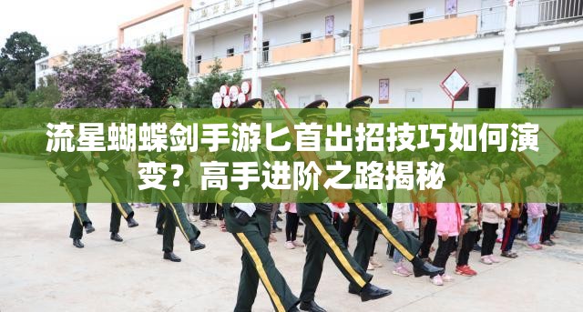 流星蝴蝶剑手游匕首出招技巧如何演变？高手进阶之路揭秘