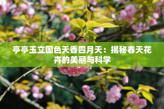 亭亭玉立国色天香四月天：揭秘春天花卉的美丽与科学