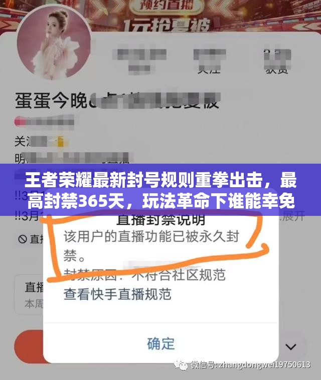 王者荣耀最新封号规则重拳出击，最高封禁365天，玩法革命下谁能幸免？