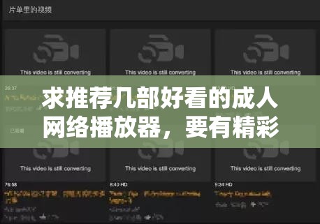 求推荐几部好看的成人网络播放器，要有精彩剧情的那种