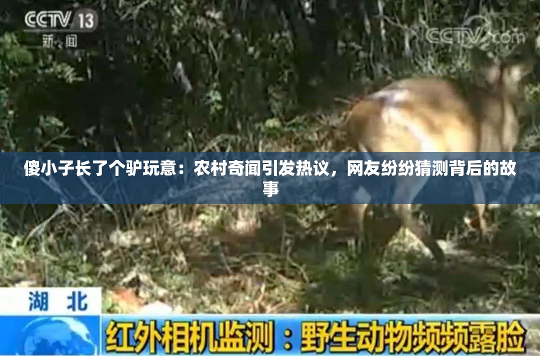 傻小子长了个驴玩意：农村奇闻引发热议，网友纷纷猜测背后的故事