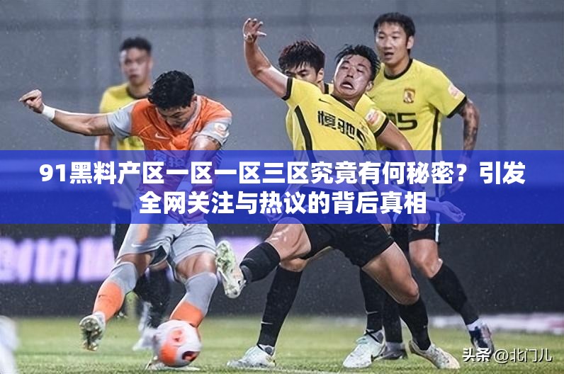 91黑料产区一区一区三区究竟有何秘密？引发全网关注与热议的背后真相