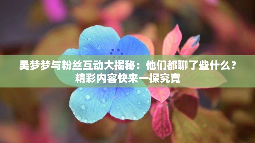 吴梦梦与粉丝互动大揭秘：他们都聊了些什么？精彩内容快来一探究竟