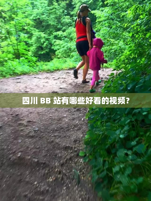 四川 BB 站有哪些好看的视频？