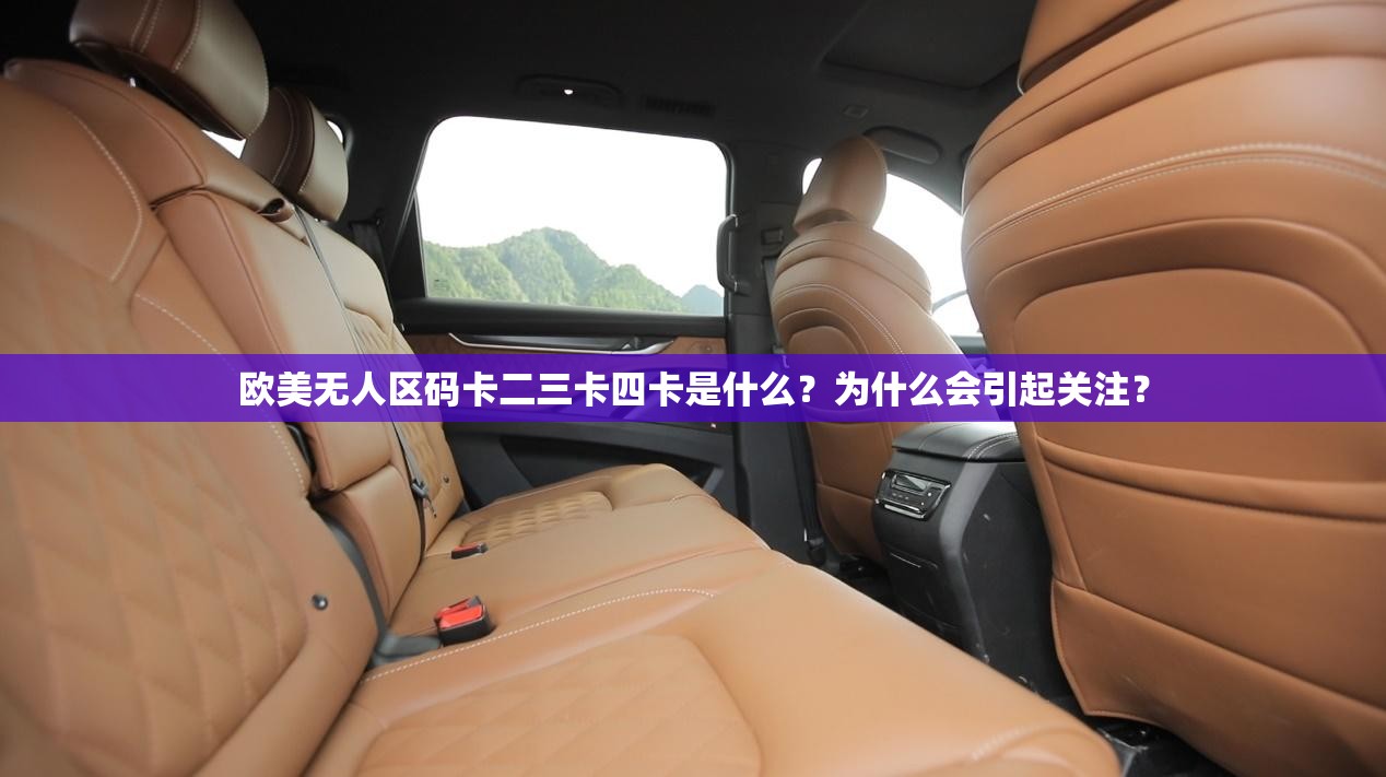 欧美无人区码卡二三卡四卡是什么？为什么会引起关注？