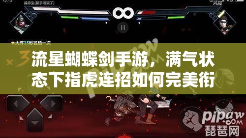 流星蝴蝶剑手游，满气状态下指虎连招如何完美衔接，资源管理艺术揭秘？