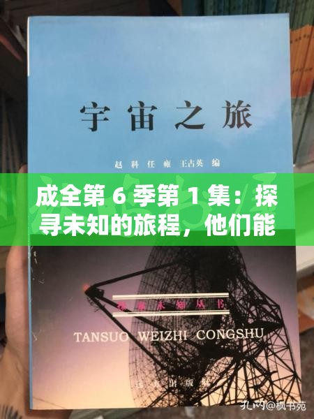 成全第 6 季第 1 集：探寻未知的旅程，他们能否找到真爱？