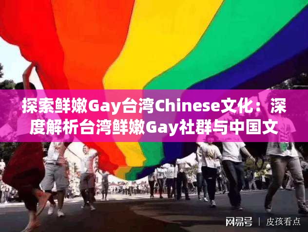 探索鲜嫩Gay台湾Chinese文化：深度解析台湾鲜嫩Gay社群与中国文化的交融与影响