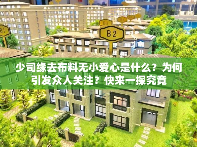 少司缘去布料无小爱心是什么？为何引发众人关注？快来一探究竟