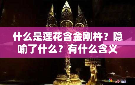 什么是莲花含金刚杵？隐喻了什么？有什么含义？