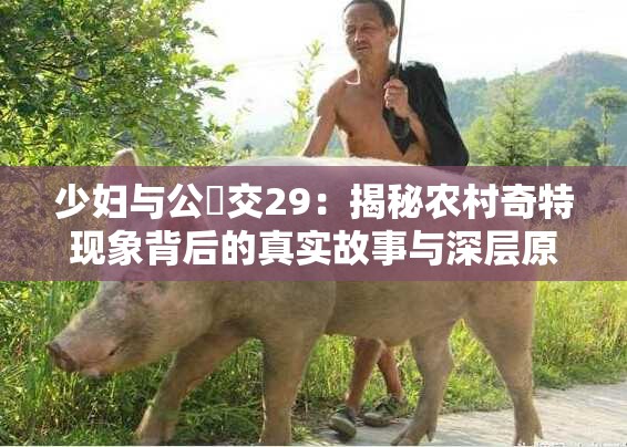 少妇与公豬交29：揭秘农村奇特现象背后的真实故事与深层原因