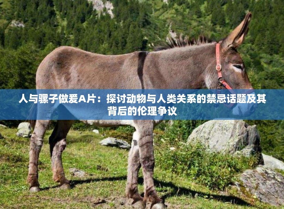 人与骡子做爰A片：探讨动物与人类关系的禁忌话题及其背后的伦理争议