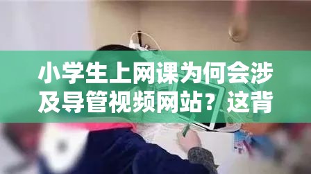 小学生上网课为何会涉及导管视频网站？这背后到底隐藏着怎样的情况？