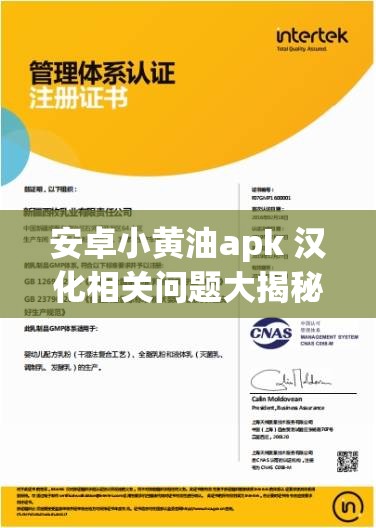 安卓小黄油apk 汉化相关问题大揭秘，你想知道的都在这里