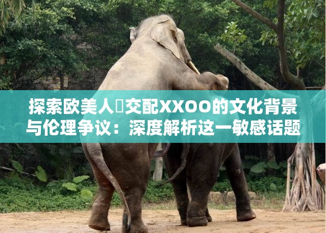 探索欧美人獸交配XXOO的文化背景与伦理争议：深度解析这一敏感话题的社会影响与法律边界