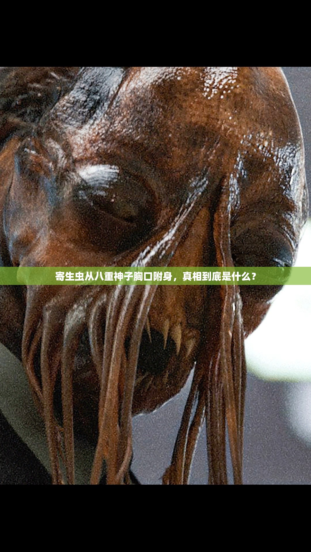 寄生虫从八重神子胸口附身，真相到底是什么？