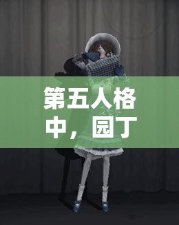 第五人格中，园丁、医生与空军联手，拆椅战术下资源管理的重要性何在？策略揭秘！