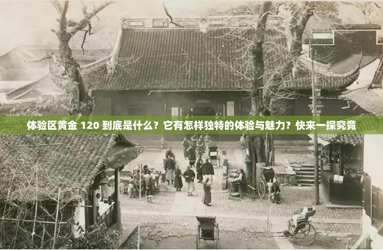体验区黄金 120 到底是什么？它有怎样独特的体验与魅力？快来一探究竟