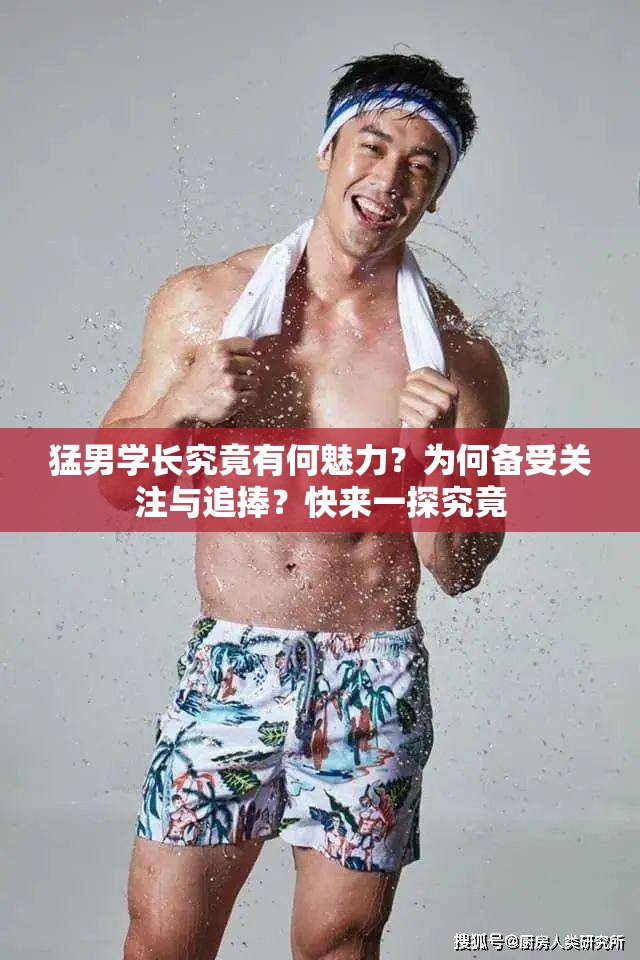 猛男学长究竟有何魅力？为何备受关注与追捧？快来一探究竟