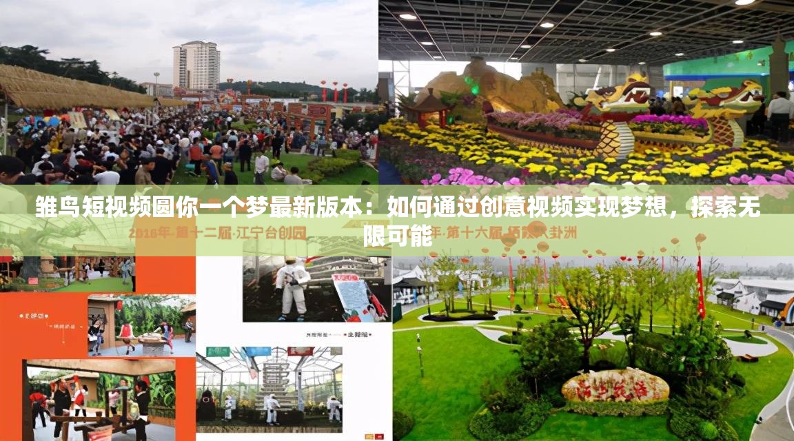 雏鸟短视频圆你一个梦最新版本：如何通过创意视频实现梦想，探索无限可能