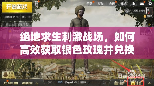 绝地求生刺激战场，如何高效获取银色玫瑰并兑换稀有宝箱？