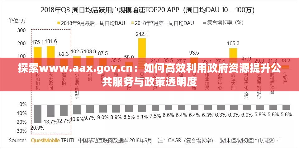 探索www.aax.gov.cn：如何高效利用政府资源提升公共服务与政策透明度