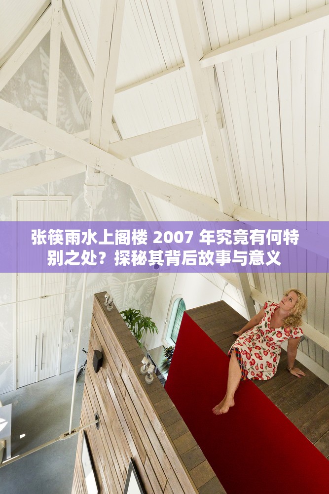 张筷雨水上阁楼 2007 年究竟有何特别之处？探秘其背后故事与意义