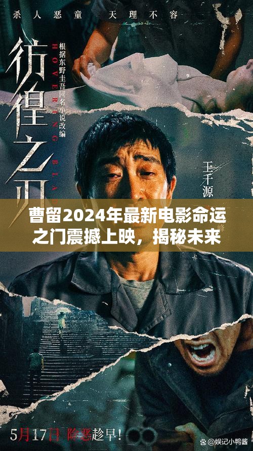 曹留2024年最新电影命运之门震撼上映，揭秘未来科技与人性的终极对决