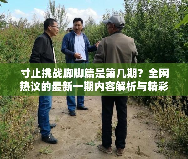 寸止挑战脚脚篇是第几期？全网热议的最新一期内容解析与精彩看点大揭秘