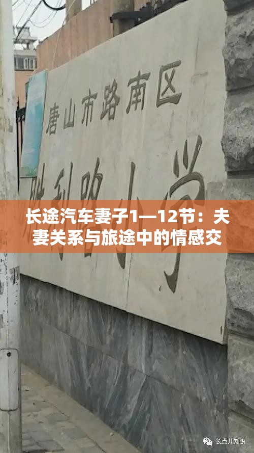 长途汽车妻子1—12节：夫妻关系与旅途中的情感交织