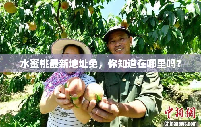 水蜜桃最新地址免，你知道在哪里吗？