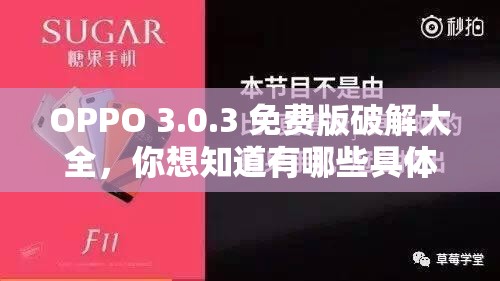 OPPO 3.0.3 免费版破解大全，你想知道有哪些具体内容吗？快来一探究竟