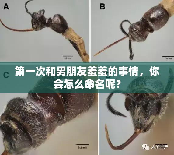 第一次和男朋友羞羞的事情，你会怎么命名呢？