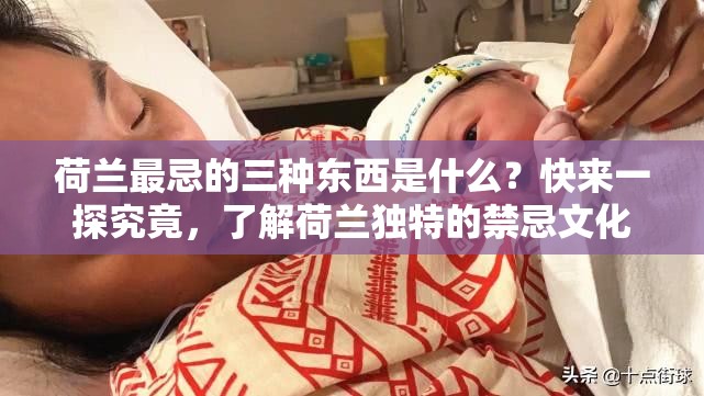 荷兰最忌的三种东西是什么？快来一探究竟，了解荷兰独特的禁忌文化