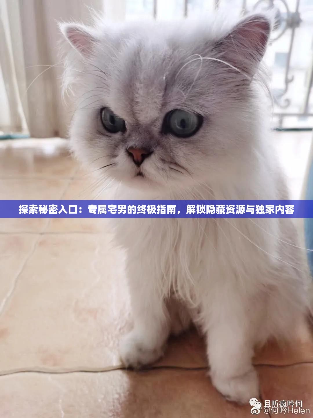 探索秘密入口：专属宅男的终极指南，解锁隐藏资源与独家内容