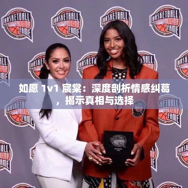 如愿 1v1 宸棠：深度剖析情感纠葛，揭示真相与选择