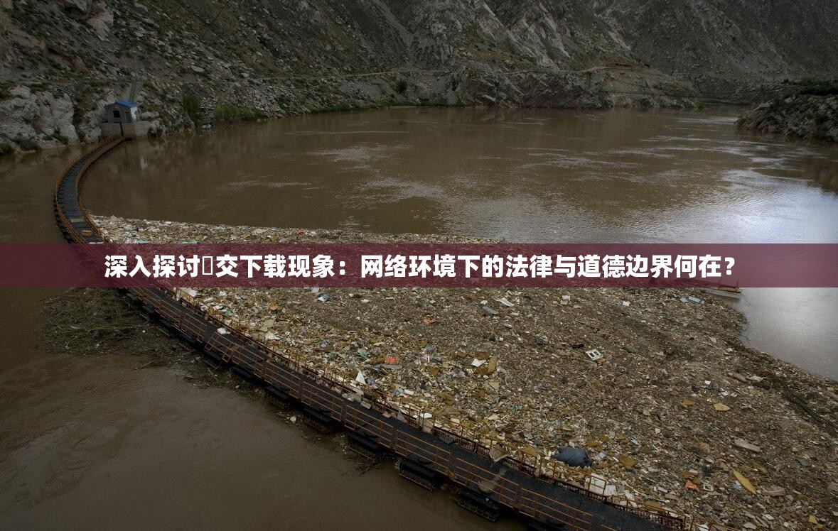 深入探讨㓜交下载现象：网络环境下的法律与道德边界何在？