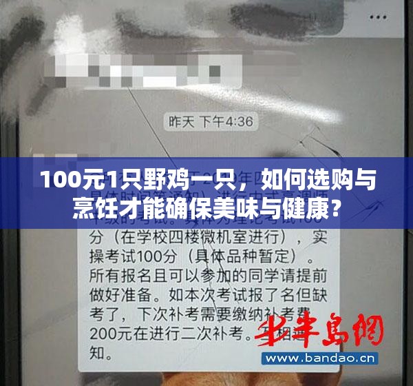 100元1只野鸡一只，如何选购与烹饪才能确保美味与健康？