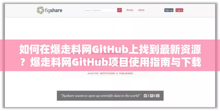 如何在爆走料网GitHub上找到最新资源？爆走料网GitHub项目使用指南与下载教程
