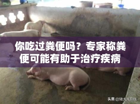 你吃过粪便吗？专家称粪便可能有助于治疗疾病