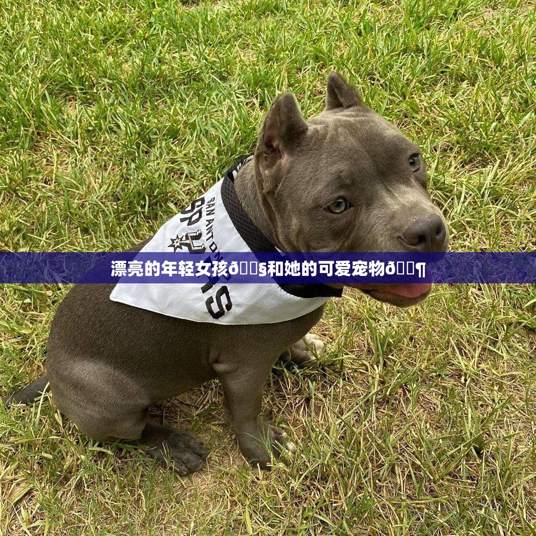 漂亮的年轻女孩👧和她的可爱宠物🐶