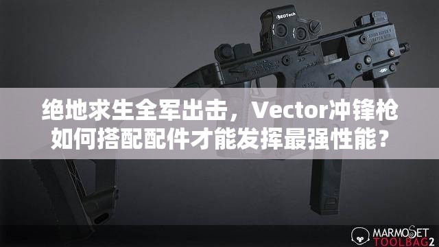 绝地求生全军出击，Vector冲锋枪如何搭配配件才能发挥最强性能？