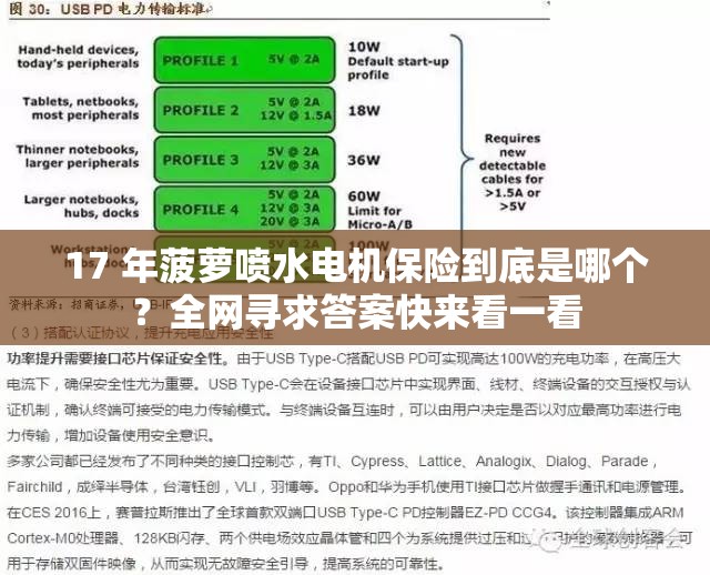 17 年菠萝喷水电机保险到底是哪个？全网寻求答案快来看一看