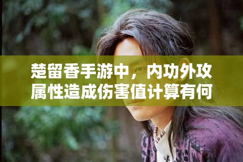 楚留香手游中，内功外攻属性造成伤害值计算有何神秘演变史？