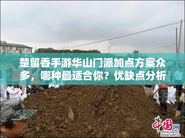 楚留香手游华山门派加点方案众多，哪种最适合你？优缺点分析揭晓！