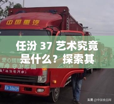 任汾 37 艺术究竟是什么？探索其独特魅力与内涵的相关解读