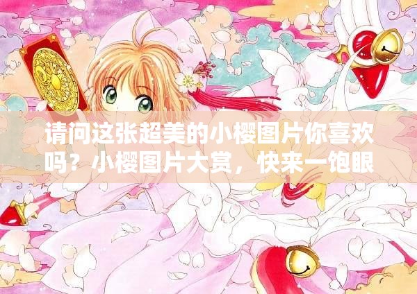 请问这张超美的小樱图片你喜欢吗？小樱图片大赏，快来一饱眼福