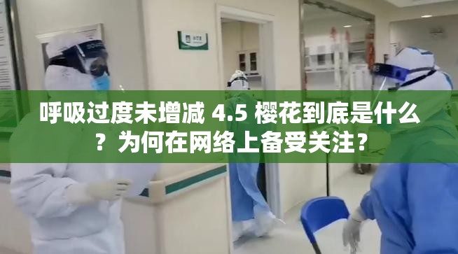 呼吸过度未增减 4.5 樱花到底是什么？为何在网络上备受关注？